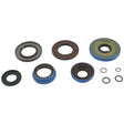 ALL BALLS RACING TRANSAXLE SEAL KIT (25 - 2085 - 5) - DRIVEN Canada's Powersports 61331080242625 - 2085 - 5