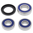 ALL BALLS RACING WHEEL BEARING KIT (25 - 1287) - DRIVEN Canada's Powersports 72398040729325 - 1287