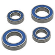 ALL BALLS RACING WHEEL BEARING KIT (25 - 1808) - DRIVEN Canada's Powersports 61331080776625 - 1808