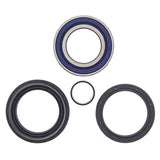 ALL BALLS RACING WHEEL BEARING KIT (25 - 1004) - DRIVEN Canada's Powersports 23725100425 - 1004