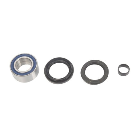 ALL BALLS RACING WHEEL BEARING KIT (25 - 1005) - DRIVEN Canada's Powersports 23725100525 - 1005