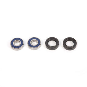 ALL BALLS RACING WHEEL BEARING KIT (25 - 1009) - DRIVEN Canada's Powersports 23725100925 - 1009