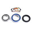 ALL BALLS RACING WHEEL BEARING KIT (25 - 1010) - DRIVEN Canada's Powersports 23725101025 - 1010