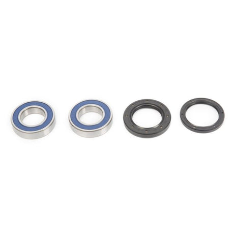 ALL BALLS RACING WHEEL BEARING KIT (25 - 1028) - DRIVEN Canada's Powersports 23725102825 - 1028