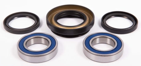 ALL BALLS RACING WHEEL BEARING KIT (25 - 1029) - DRIVEN Canada's Powersports 72398041431425 - 1029