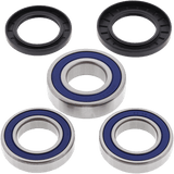 ALL BALLS RACING WHEEL BEARING KIT (25 - 1039) - DRIVEN Canada's Powersports 23725103925 - 1039