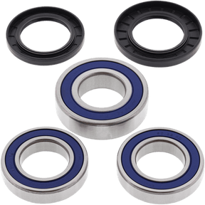 ALL BALLS RACING WHEEL BEARING KIT (25 - 1039) - DRIVEN Canada's Powersports 23725103925 - 1039