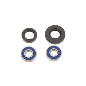 ALL BALLS RACING WHEEL BEARING KIT (25 - 1041) - DRIVEN Canada's Powersports 72398040736125 - 1041