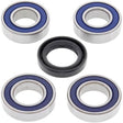 ALL BALLS RACING WHEEL BEARING KIT (25 - 1051) - DRIVEN Canada's Powersports 72398040723125 - 1051