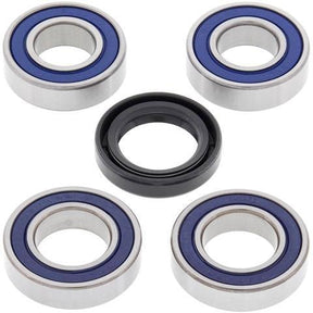 ALL BALLS RACING WHEEL BEARING KIT (25 - 1051) - DRIVEN Canada's Powersports 72398040723125 - 1051