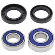 ALL BALLS RACING WHEEL BEARING KIT (25 - 1060) - DRIVEN Canada's Powersports 23725106025 - 1060