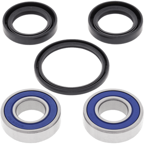 ALL BALLS RACING WHEEL BEARING KIT (25 - 1077) - DRIVEN Canada's Powersports 23725107725 - 1077