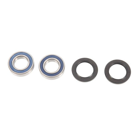 ALL BALLS RACING WHEEL BEARING KIT (25 - 1079) - DRIVEN Canada's Powersports 23725107925 - 1079