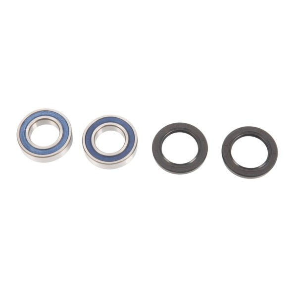ALL BALLS RACING WHEEL BEARING KIT (25 - 1079) - DRIVEN Canada's Powersports 23725107925 - 1079