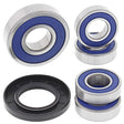 ALL BALLS RACING WHEEL BEARING KIT (25 - 1097) - DRIVEN Canada's Powersports 72398042169525 - 1097