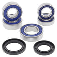 ALL BALLS RACING WHEEL BEARING KIT (25 - 1099) - DRIVEN Canada's Powersports 72398042170125 - 1099
