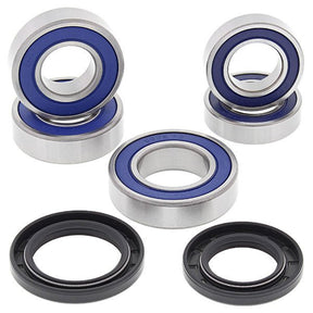 ALL BALLS RACING WHEEL BEARING KIT (25 - 1099) - DRIVEN Canada's Powersports 72398042170125 - 1099