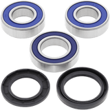 ALL BALLS RACING WHEEL BEARING KIT (25 - 1111) - DRIVEN Canada's Powersports 23725111125 - 1111