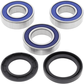 ALL BALLS RACING WHEEL BEARING KIT (25 - 1111) - DRIVEN Canada's Powersports 23725111125 - 1111