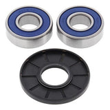 ALL BALLS RACING WHEEL BEARING KIT (25 - 1119) - DRIVEN Canada's Powersports 72398040822125 - 1119