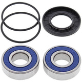 ALL BALLS RACING WHEEL BEARING KIT (25 - 1129) - DRIVEN Canada's Powersports 23725112925 - 1129