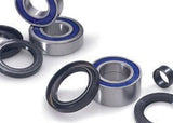 ALL BALLS RACING WHEEL BEARING KIT (25 - 1135) - DRIVEN Canada's Powersports 23725113525 - 1135