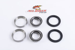 ALL BALLS RACING WHEEL BEARING KIT (25 - 1151) - DRIVEN Canada's Powersports 23725115125 - 1151