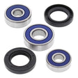 ALL BALLS RACING WHEEL BEARING KIT (25 - 1176) - DRIVEN Canada's Powersports 72398040845025 - 1176