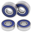ALL BALLS RACING WHEEL BEARING KIT (25 - 1198) - DRIVEN Canada's Powersports 72398042272225 - 1198