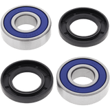 ALL BALLS RACING WHEEL BEARING KIT (25 - 1210) - DRIVEN Canada's Powersports 23725121025 - 1210