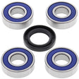 ALL BALLS RACING WHEEL BEARING KIT (25 - 1220) - DRIVEN Canada's Powersports 72398040757625 - 1220