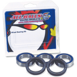 ALL BALLS RACING WHEEL BEARING KIT (25 - 1251) - DRIVEN Canada's Powersports 23725125125 - 1251