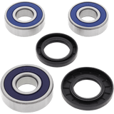 ALL BALLS RACING WHEEL BEARING KIT (25 - 1257) - DRIVEN Canada's Powersports 23725125725 - 1257