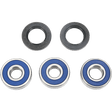 ALL BALLS RACING WHEEL BEARING KIT (25 - 1258) - DRIVEN Canada's Powersports 72398040670825 - 1258