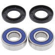ALL BALLS RACING WHEEL BEARING KIT (25 - 1263) - DRIVEN Canada's Powersports 23725126325 - 1263