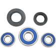 ALL BALLS RACING WHEEL BEARING KIT (25 - 1269) - DRIVEN Canada's Powersports 23725126925 - 1269