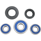 ALL BALLS RACING WHEEL BEARING KIT (25 - 1269) - DRIVEN Canada's Powersports 23725126925 - 1269