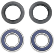 ALL BALLS RACING WHEEL BEARING KIT (25 - 1273) - DRIVEN Canada's Powersports 23725127325 - 1273