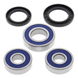 ALL BALLS RACING WHEEL BEARING KIT (25 - 1286) - DRIVEN Canada's Powersports 23725128625 - 1286
