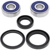 ALL BALLS RACING WHEEL BEARING KIT (25 - 1307) - DRIVEN Canada's Powersports 72398040604325 - 1307