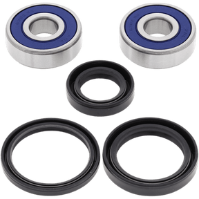 ALL BALLS RACING WHEEL BEARING KIT (25 - 1307) - DRIVEN Canada's Powersports 72398040604325 - 1307