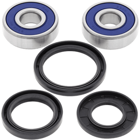 ALL BALLS RACING WHEEL BEARING KIT (25 - 1310) - DRIVEN Canada's Powersports 23725131025 - 1310