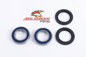 ALL BALLS RACING WHEEL BEARING KIT (25 - 1314) - DRIVEN Canada's Powersports 23725131425 - 1314
