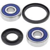 ALL BALLS RACING WHEEL BEARING KIT (25 - 1316) - DRIVEN Canada's Powersports 23725131625 - 1316