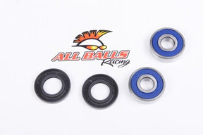 ALL BALLS RACING WHEEL BEARING KIT (25 - 1317) - DRIVEN Canada's Powersports 23725131725 - 1317