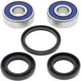 ALL BALLS RACING WHEEL BEARING KIT (25 - 1319) - DRIVEN Canada's Powersports 23725131925 - 1319