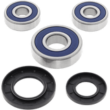 ALL BALLS RACING WHEEL BEARING KIT (25 - 1344) - DRIVEN Canada's Powersports 23725134425 - 1344