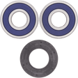 ALL BALLS RACING WHEEL BEARING KIT (25 - 1353) - DRIVEN Canada's Powersports 23725135325 - 1353