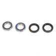 ALL BALLS RACING WHEEL BEARING KIT (25 - 1364) - DRIVEN Canada's Powersports 23725136425 - 1364