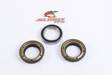 ALL BALLS RACING WHEEL BEARING KIT (25 - 1365) - DRIVEN Canada's Powersports 23725136525 - 1365
